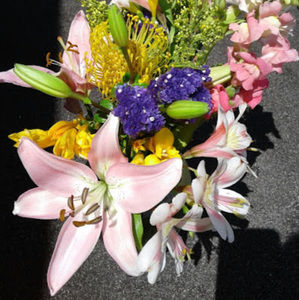 Meet your Posher, Michelle